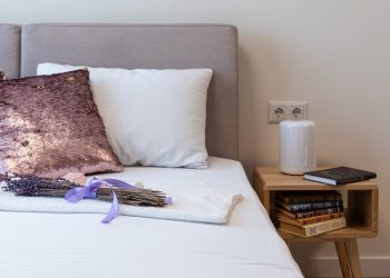 Top Air Purifiers for Allergy Relief